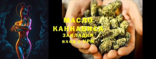 индика Снежногорск