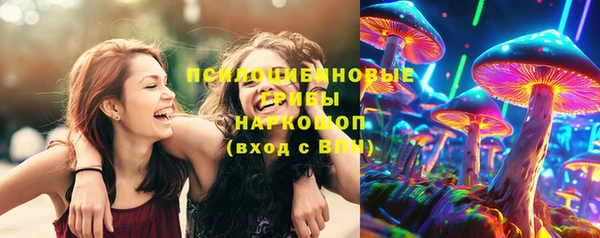 стаф Беломорск