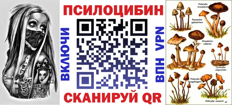 ОМГ ОМГ как зайти  Славгород  Галлюциногенные грибы мухоморы  купить наркоту 