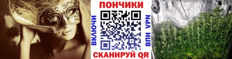 Марихуана SATIVA & INDICA Славгород